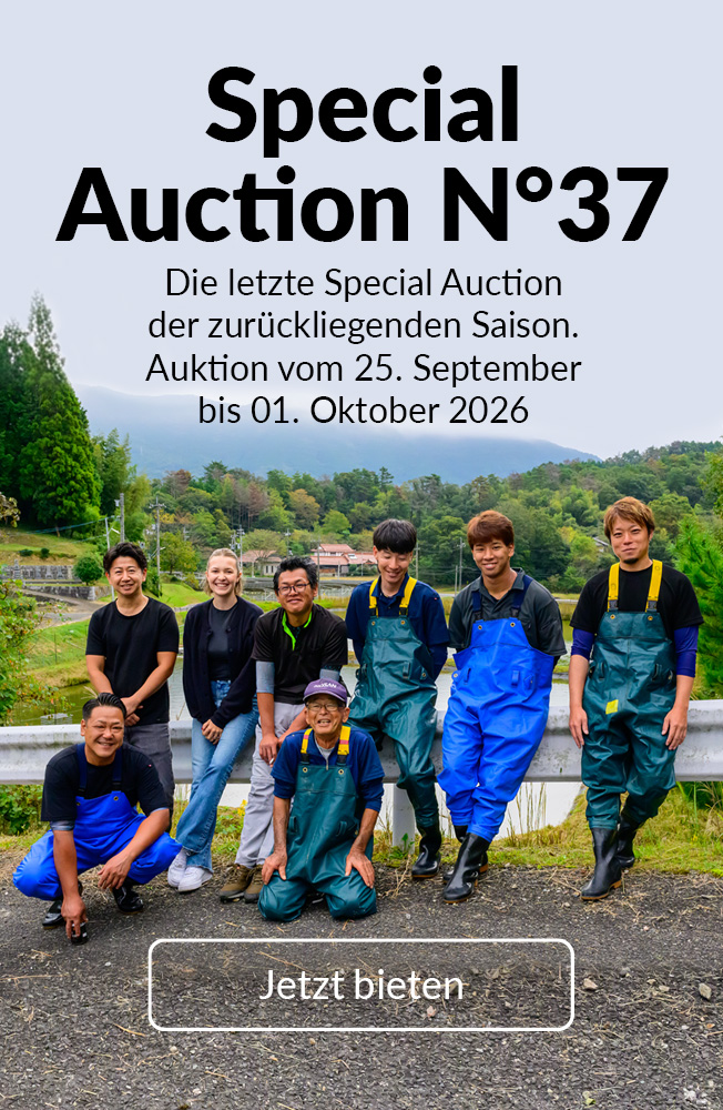 Special Auction Nr37 Mobil