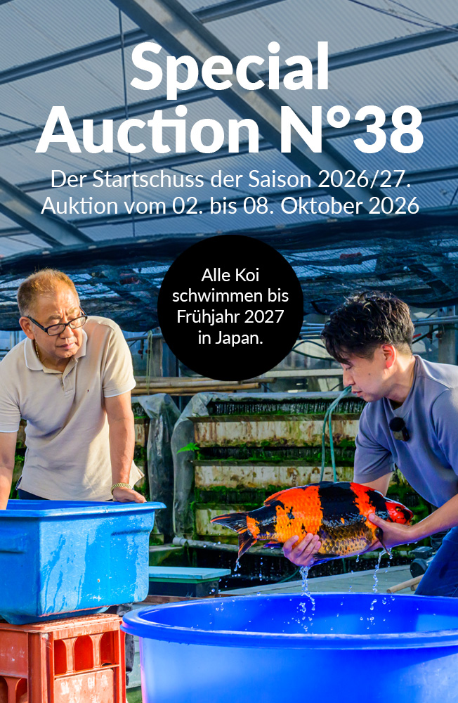 Special Auction Nr38 Mobil