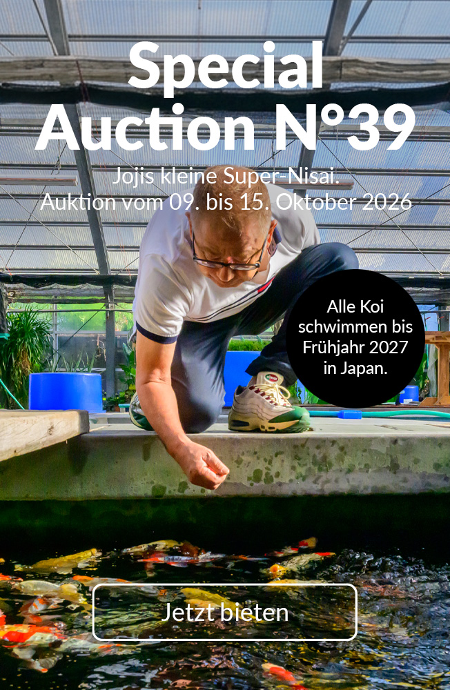Special Auction Nr39 Mobil