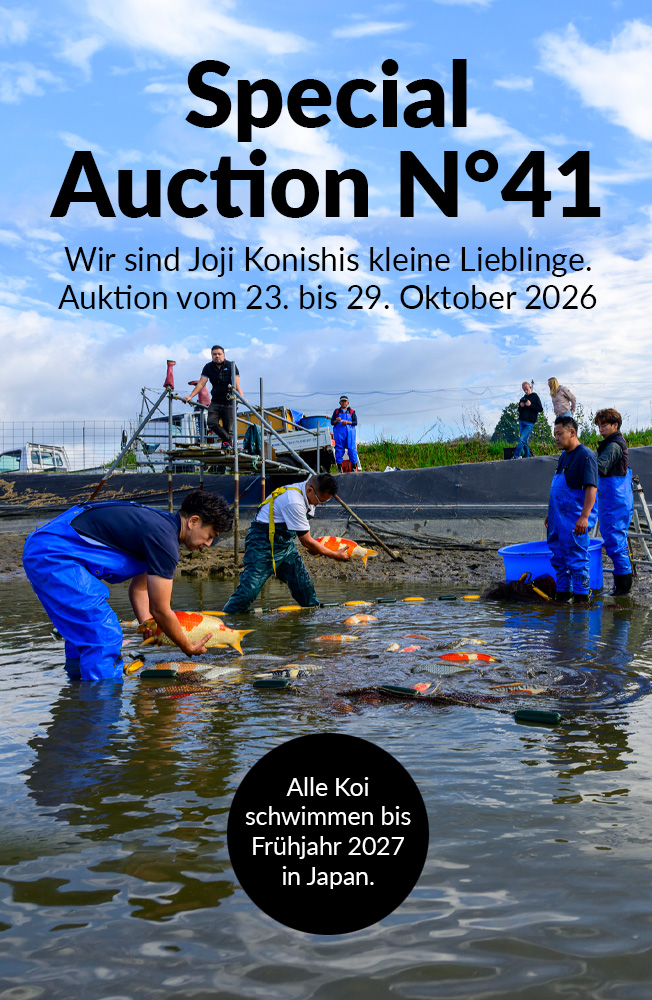 Special Auction Nr41 Mobil
