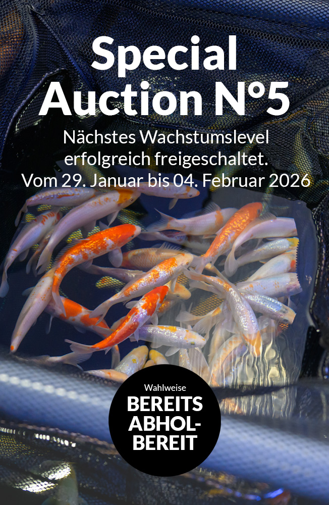 Special Auction Nr5 Mobil