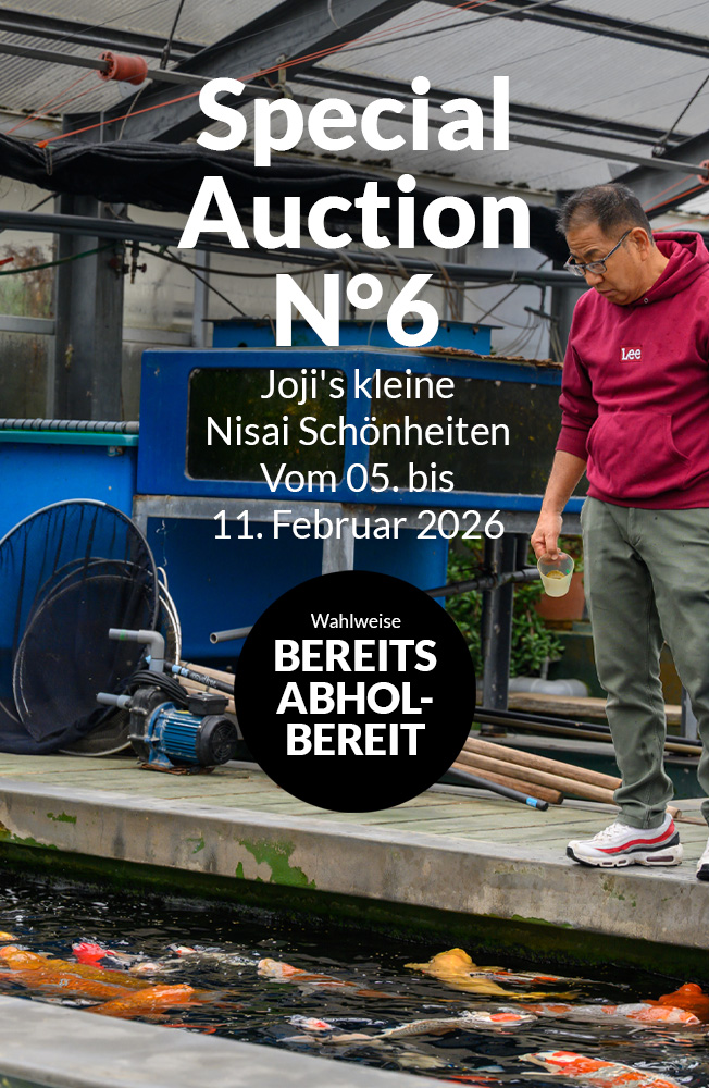Special Auction Nr6 Mobil