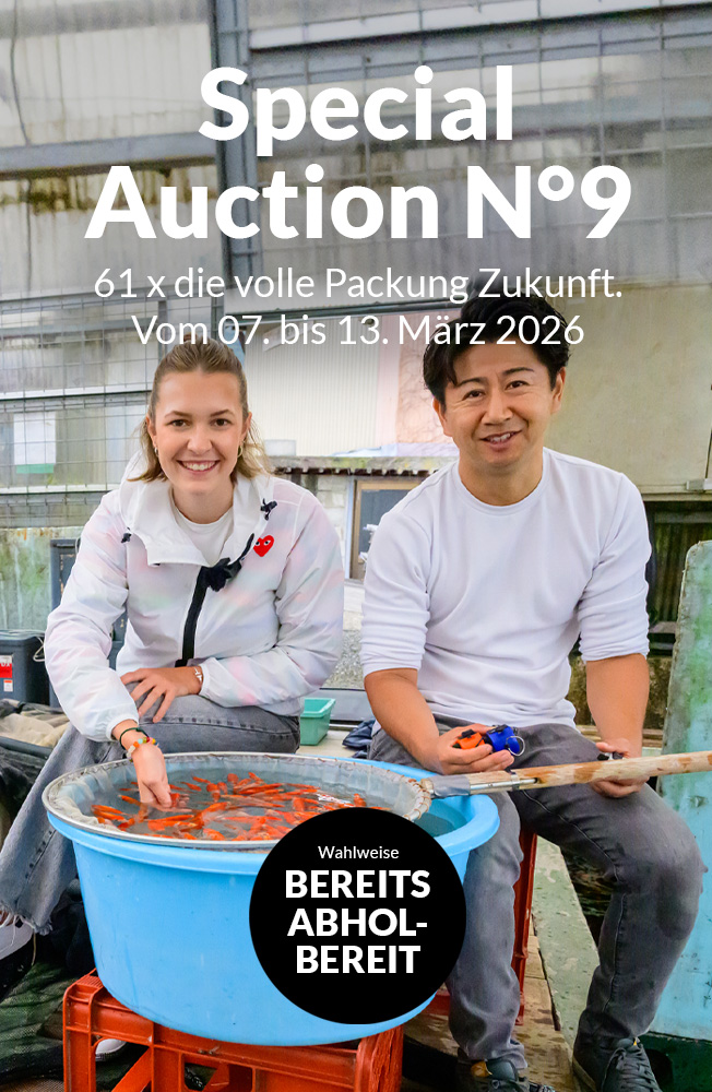 Special Auction Nr9 Mobil