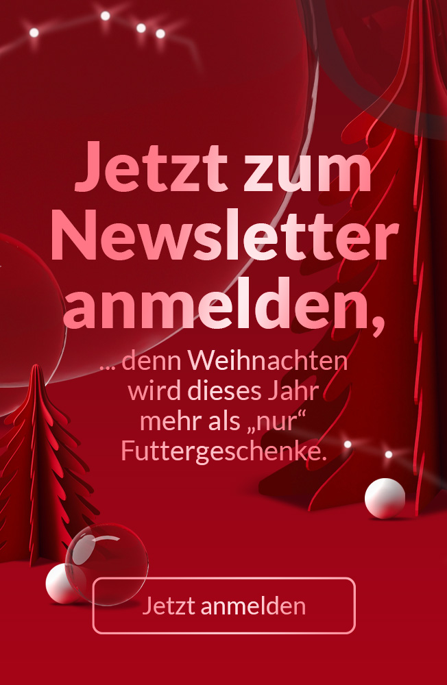 Xmas 2025 Nl Anmelden Mobil