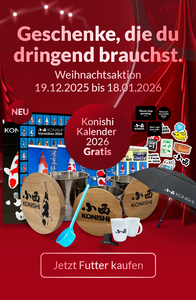 Xmas 2025 Alle Geschenke Mobil